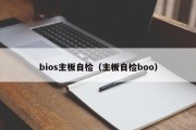 bios主板自检（主板自检boo）