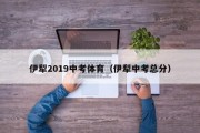 伊犁2019中考体育（伊犁中考总分）