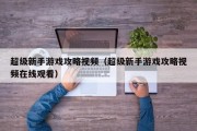超级新手游戏攻略视频（超级新手游戏攻略视频在线观看）