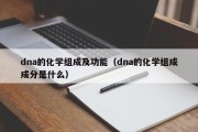dna的化学组成及功能（dna的化学组成成分是什么）